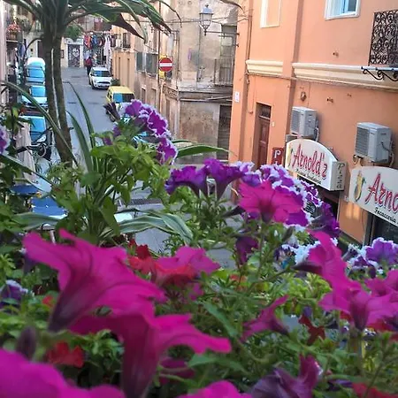 Tresor Petit Guest house